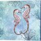Marine Love Seadragons & Seahorses by Cora Niele 14" x 14" Canvas Wall Art (Set of 2)
